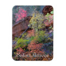Search for forks rectangular magnets Nature