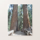 Search for sequoia national park puzzles Nature