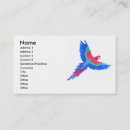 Search for amazon business cards Parrot