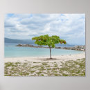 Search for dead tree posters Beach