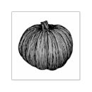 Search for pumpkin rubber stamps Seasonal