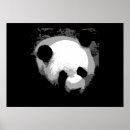 Search for black white bear posters Panda