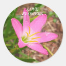 Search for sustainability stickers Flowers