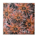 Search for orange brown flower tiles Watercolor