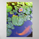Search for water lily pond posters Koi
