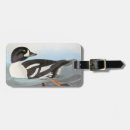 Search for barrows John james audubon