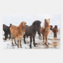 Search for colt stickers Herd