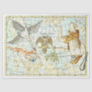 Search for constellation tissue paper Map