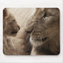 Search for lion kid electronics Lions