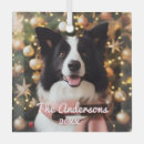 Search for border collie christmas tree decorations Festive