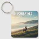 Search for pointing key rings Ocean