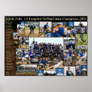 Search for champions posters Ball