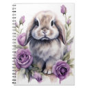 Search for purple notebooks Rabbit