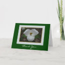 Search for perennials cards Plants