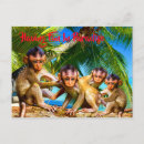 Search for little monkey postcards Monkeys