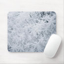 Search for ice crystal electronics Abstract