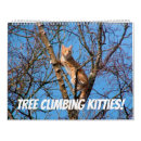 Search for fur tree Kitty