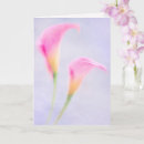 Search for feel photo cards Floral