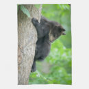 Search for black bear tea towels Forest