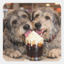 Search for dog beers stickers Cute