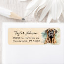 Search for english mastiffs Pet