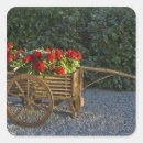 Search for geraniums stickers Flower