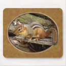 Search for chipmunks electronics Animals
