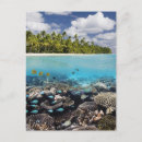 Search for atoll postcards Nature