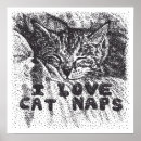 Search for sleeping cat posters Kitten
