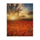 Search for agriculture wood wall art beautiful