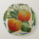 Search for malus Malus apple fruit