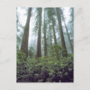 Search for filter postcards Nature