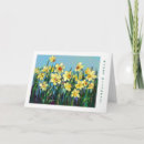 Search for daffodil birthday Blue