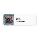Search for hippo return address labels Wildlife