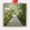 Search for selective focus christmas tree decorations Outdoors
