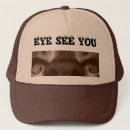 Search for seeing hats Cat