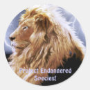 Search for endangered species stickers Big cats