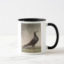 Search for pigeon mugs C19th