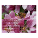 Search for bee quote posters Bees