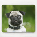 Search for mops mouse mats Headshot