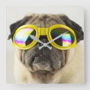 Search for pug clocks Funny