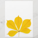 Search for white background flyers Yellow
