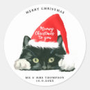 Search for merry christmas cat stickers Red