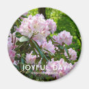 Search for rhododendron magnets Flower
