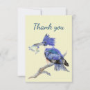 Search for kingfishers cards Nature