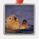 Search for coastal christmas tree decorations Wildlife