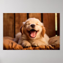 Search for golden retriever posters Puppy