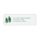 Search for winter trees return address labels Watercolor pine trees