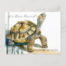 Search for sea turtle art postcards Tortoise