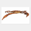 Search for maryland crab stickers Seafood